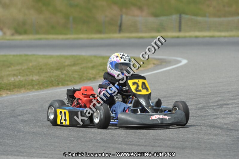 DSC_0886 (2).JPG